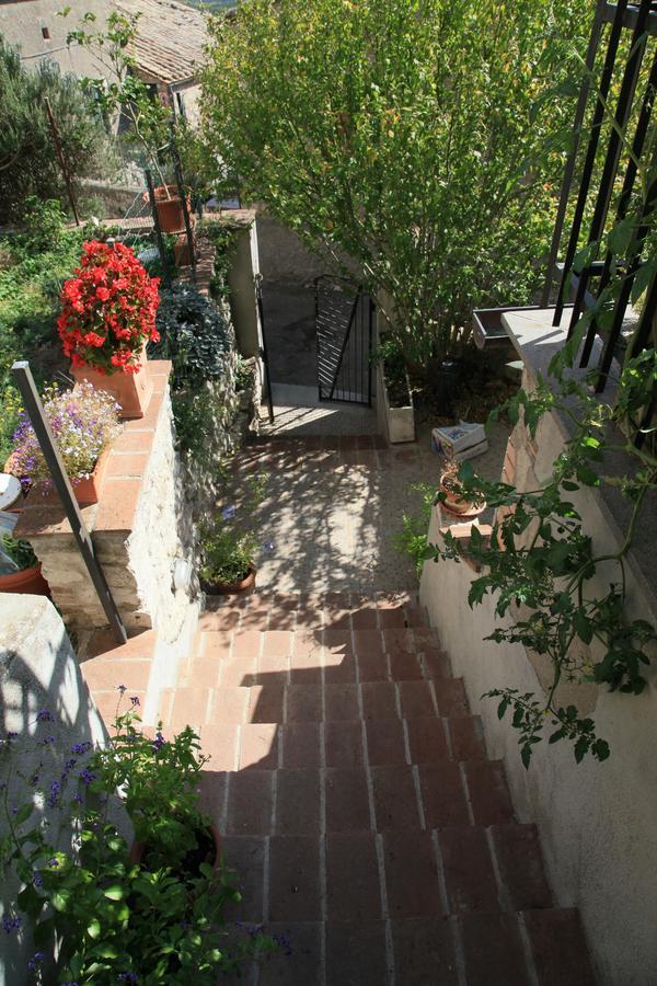 B&B Porchiano Del Monte Amelia Bagian luar foto