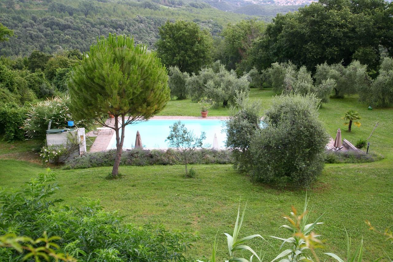 B&B Porchiano Del Monte Amelia Bagian luar foto